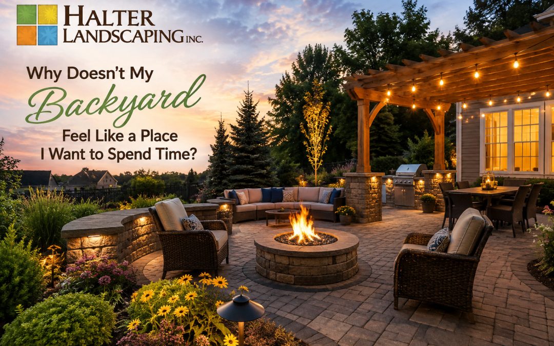 How Do I Improve My Backyard?